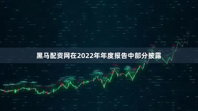 黑马配资网在2022年年度报告中部分披露