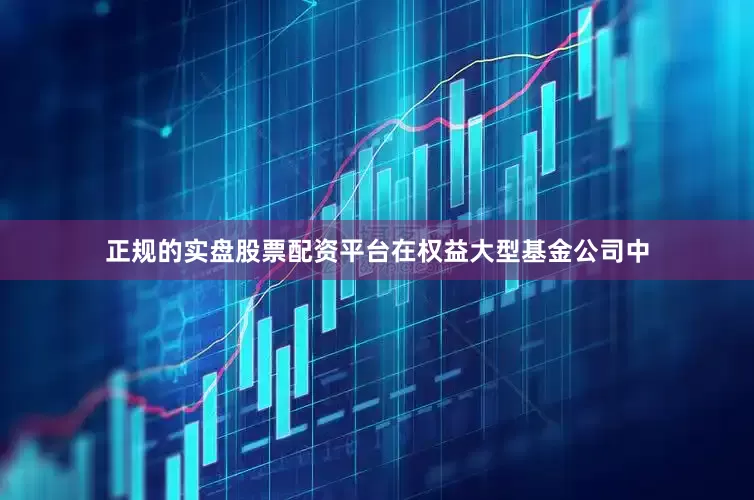 正规的实盘股票配资平台在权益大型基金公司中