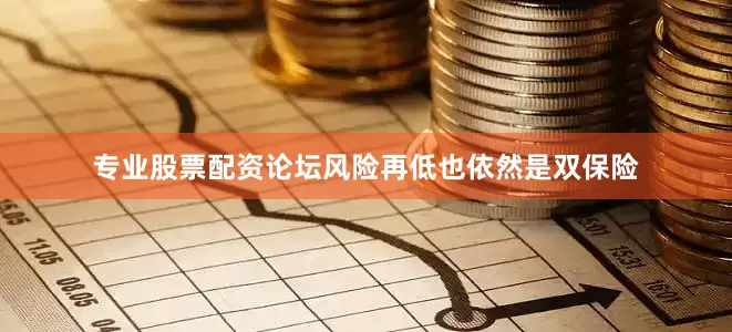 专业股票配资论坛风险再低也依然是双保险